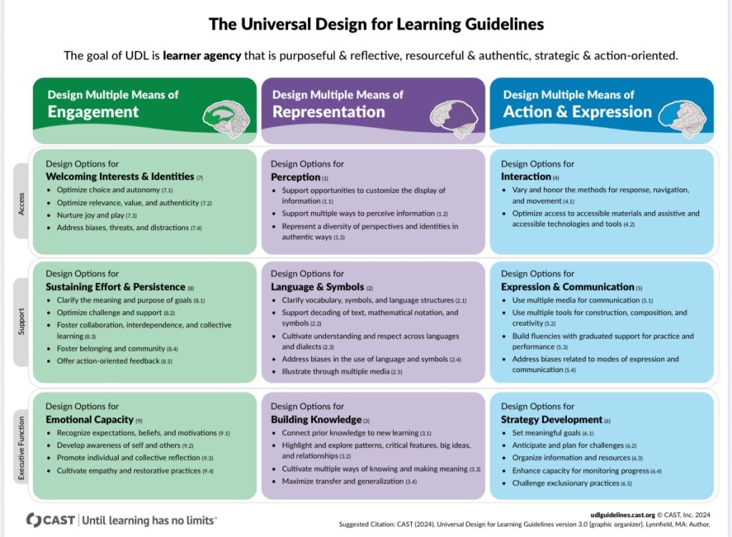 Embracing Universal Design for Learning: A Reflective Journey from High School to the&nbsp;Library